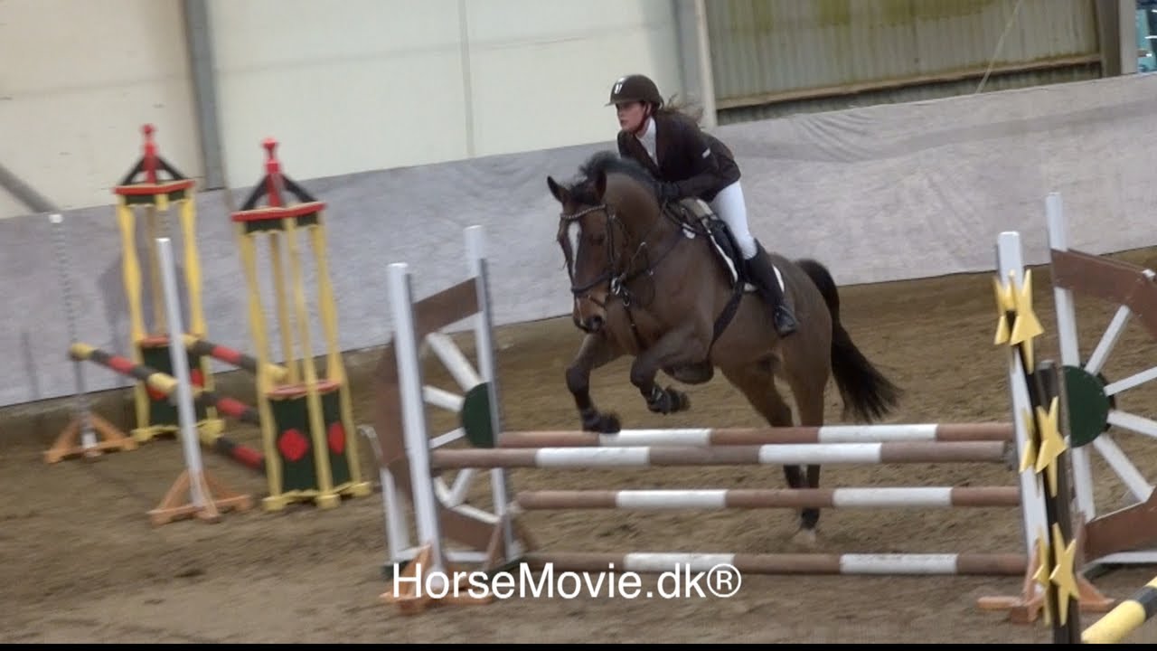 HorseMovie.dk Spring HEST #4 - YouTube