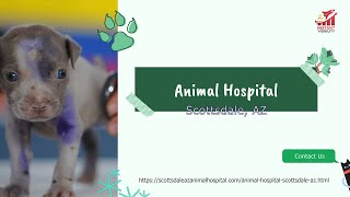 Animal Hospital Scottsdale Arizona