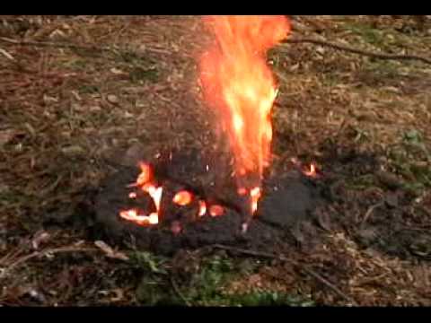 1 Pound Thermite in a Tree Stump