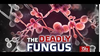 In Depth: The Deadly Fungus  Candida Auris