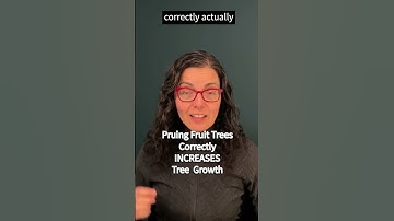 Why is your fruit tree growing so SLOWLY! #shorts #fruittree #Organic