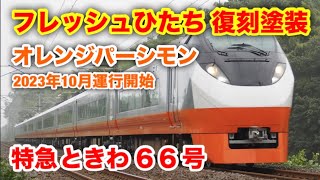【オレンジパーシモン復刻】特急ときわ66号に乗った！勝田→品川