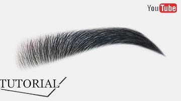 Draw Eyebrow | How to draw Realistic Eyebrows using Graphite Pencil