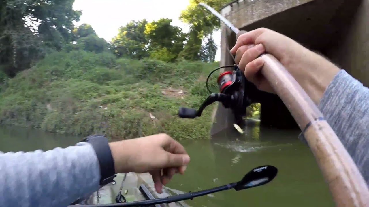 Kayak Bayou fishing The Heights Houston, Texas YouTube