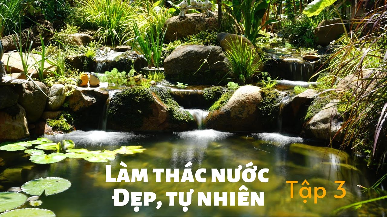 Làm hồ cá Koi bằng phương pháp tự nhiên (Tập 3)