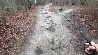 Double Blind Trail Td Niko