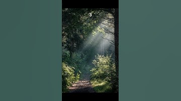 Thumbnail of Which path you taking? #2020 #nostalgia #vibes #aesthetic #chooseone #foryou #path #walk #walking