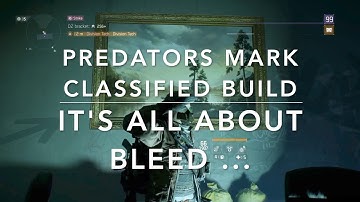 The Division 1.8 - PREDATORS MARK Build - it