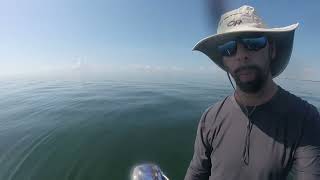 Biscayne Bay Paddle Wreck Dive