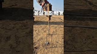 직접 튼튼한 온실을 만들기로 하였다...