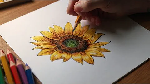 Easy Sunflower Drawing for Beginners | Step-by-Step Colored Pencil Tutorial