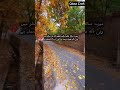 Tujhey kiya mila Safar me 🍂 #Shorts #UrduPoetry #SadPoetry #PoetryShorts #Reels