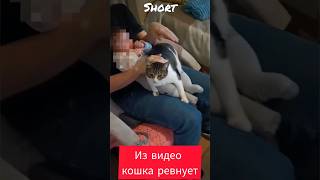 Самые Смешные Видео Из Тик Тока