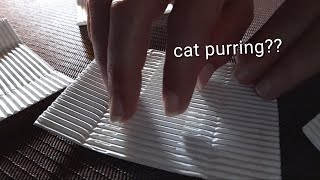 ASMR SCRATCHING RIDGES FROM SNACK TRASH (No Talking)