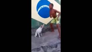 Cachorro Dançando Com O Dono Ao Som De Pumped Up Kicks