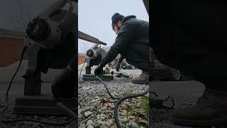 HOW TO Assert dominance in your neighborhood