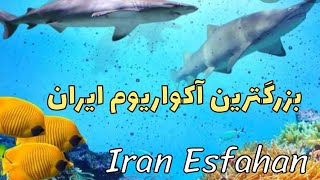 آکواریوم اصفهان/ Isfahan Aquarium