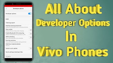 All About Vivo Developer Options....!