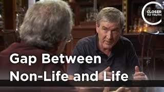 Paul Davies - Gap Between Non-Life and Life