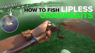 How To Fish Lipless Crankbaits - Bass Fishing Surprising Outcome