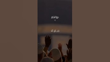الا بذكر الله تطمئن القلوب #القرآن_الكريم#راحة_نفسية #القرآن_حياه #تلاوة_خاشعة