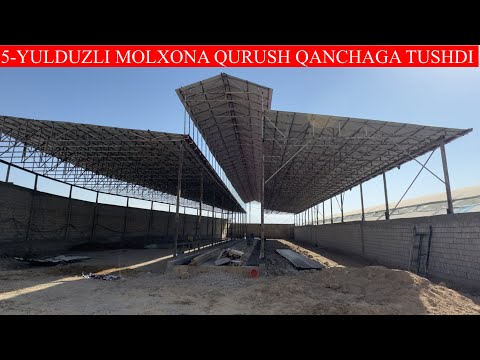 Yalangoch bachata onlayn