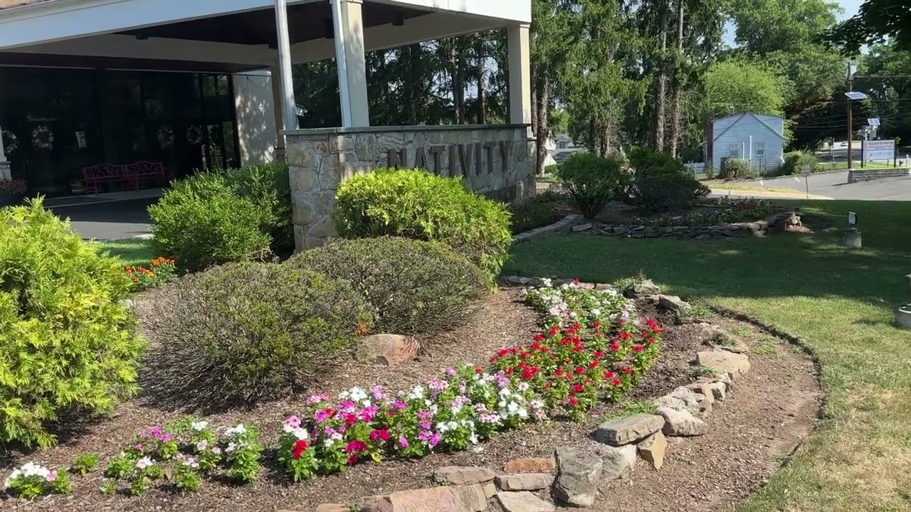 18th Sunday OT Yr B CribNotes Video