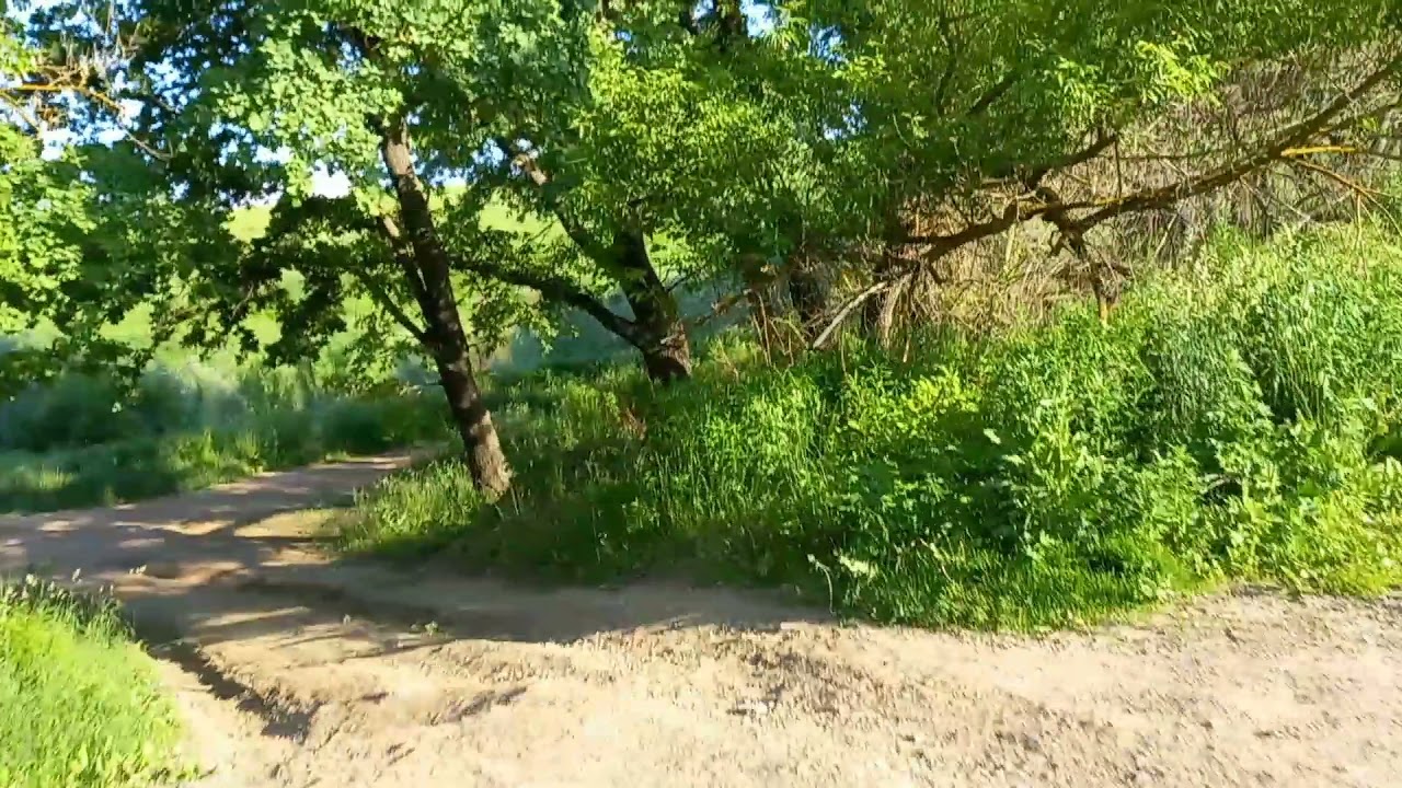 Как на речке оке
