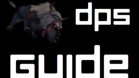 Feral Druid DPS Rotation and Openers (World of Warcraft PvP/PvE)