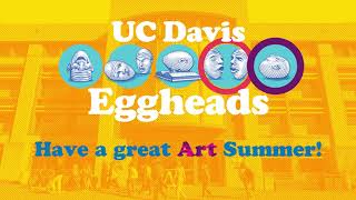 The Summer of Eggheads