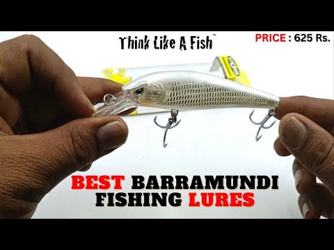 BEST Lure for Barramundi and Other Fishing Targets ! Think like a