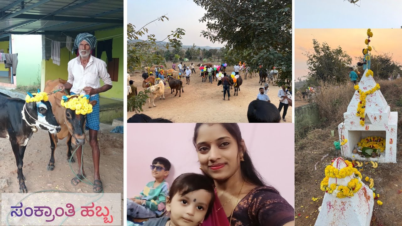 ನಮ್ಮ ಊರಲ್ಲಿ ಸಂಕ್ರಾಂತಿ ಹಬ್ಬ🌾|sankranti festival celebration| Vlogs🍂.