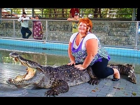 Гоблин - Анекдот про крокодилов