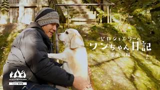 ヒロシとエリーのワンちゃん日記2025 霊巌洞編