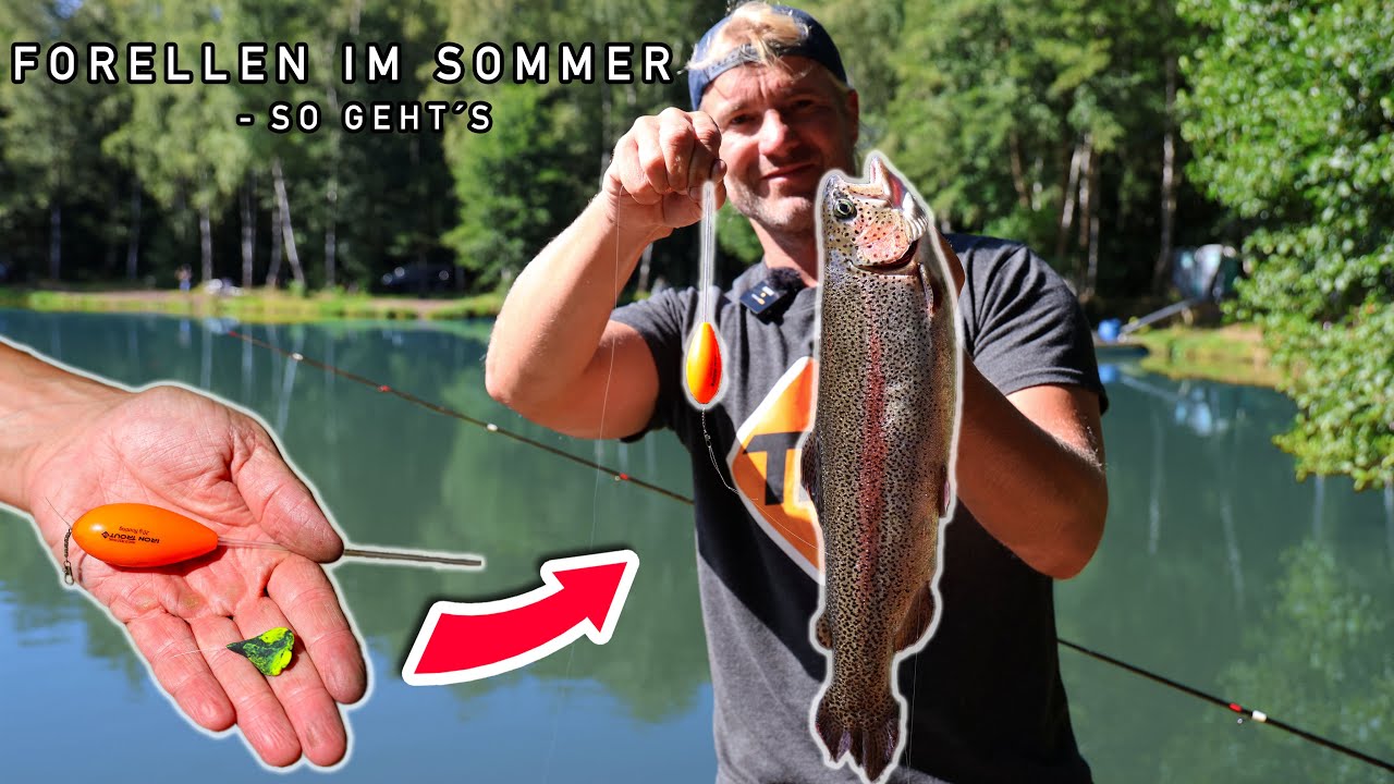 Forellenangeln im Sommer - so klappt's an heißen Tagen am Forellensee| ERFOLGREICH mit Sbirolino