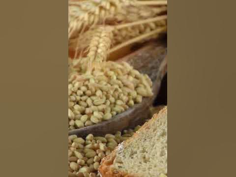 Когда придумали ХЛЕБ? 🍞 - YouTube