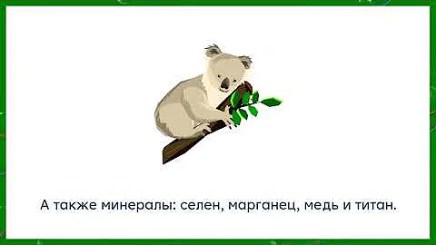 Гинкго билоба - польза и кому нельзя