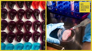 Andrew Pelling’s Fruit Implants