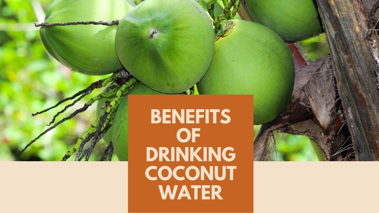 Amazing Benefits Of Drinking Coconut Water Food Benefits YouTube