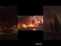 #wildfire #tsunami #ytshorts