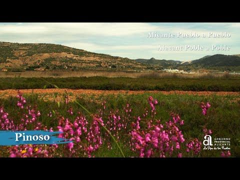 PINOSO/EL PINÓS. Alicante pueblo a pueblo