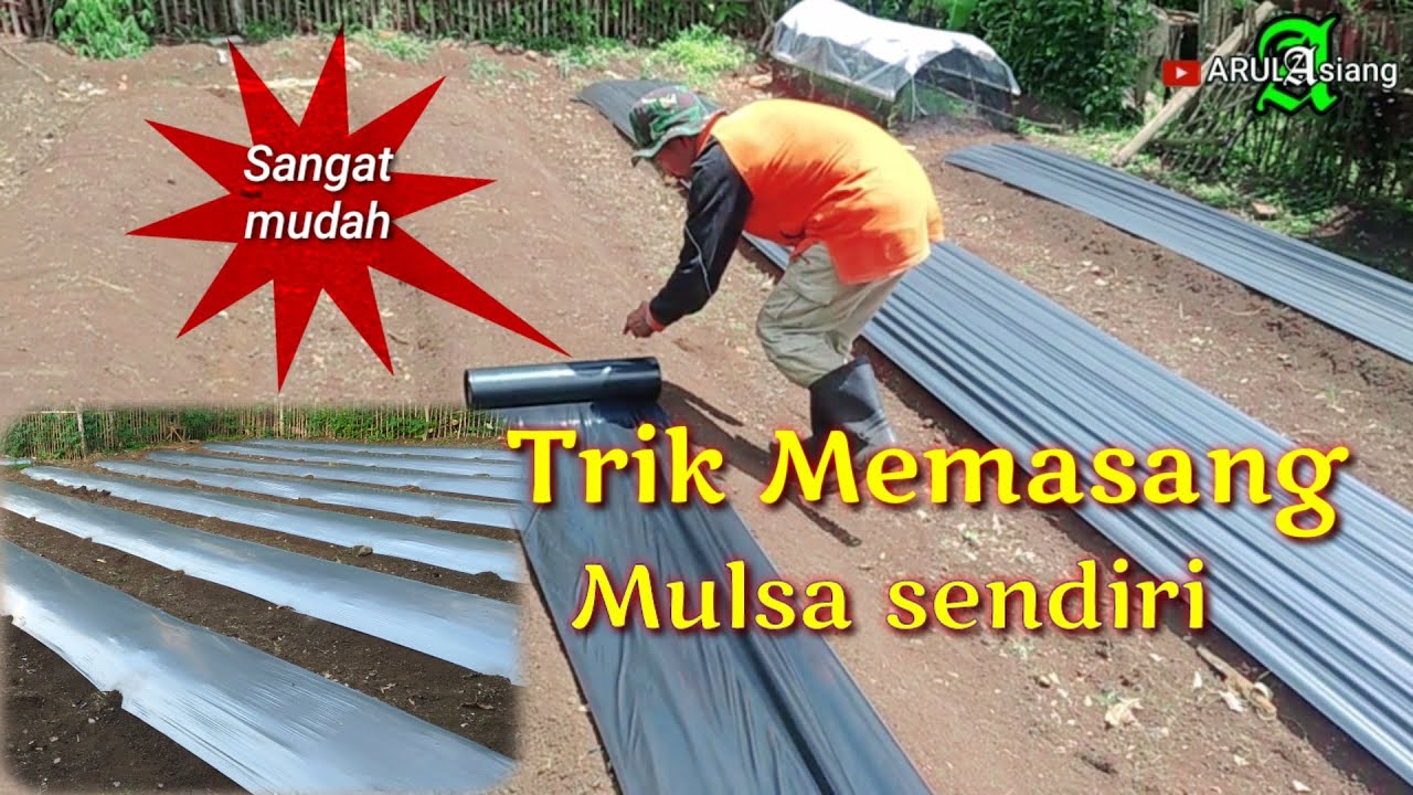 cara memasang mulsa sendiri!!sangat mudah