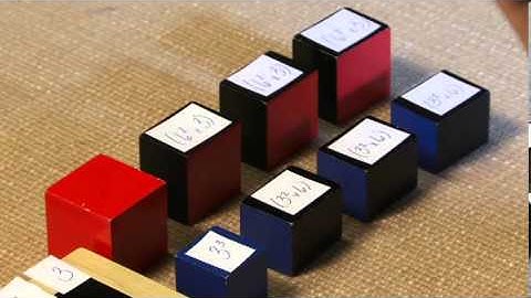 Algebraic Expression of the Cube (Montessori Elementary Math)