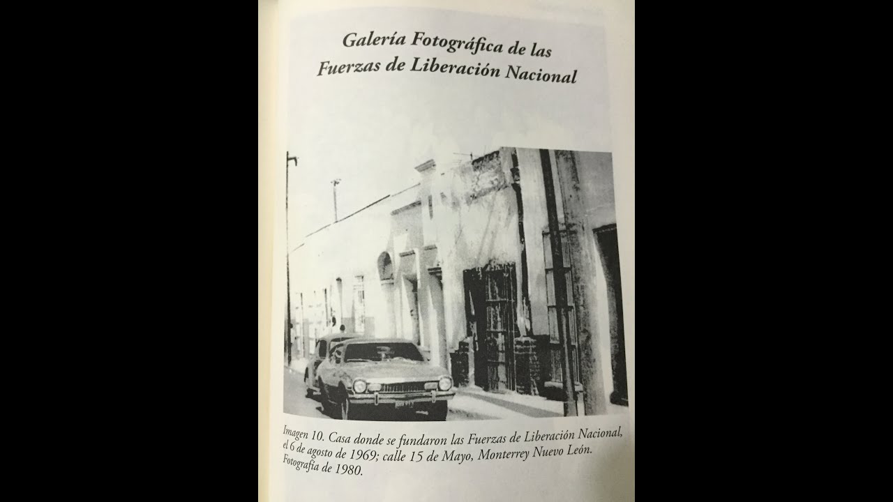 Revelan historia de las Fuerzas de Liberación Nacional y la guerra ...