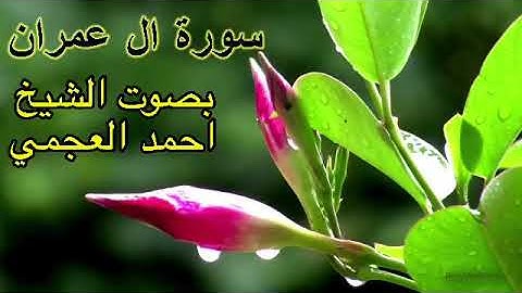 سورة ال عمران كاملة بدون اعلانات بصوت الشيخ احمد العجمي