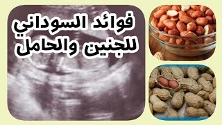 فوائد السوداني للجنين والحامل ..وتحذير من بعض المخاطر لبعض الحالات