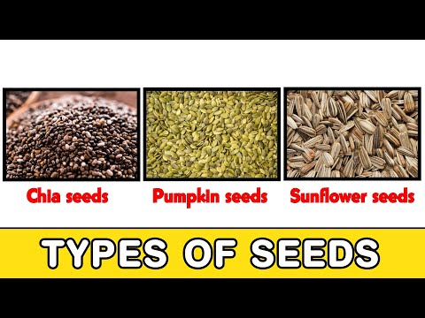 Top 5 Benefits of Seeds in Life Pumkin, Sunflower, Chia, Aliv, Flax, Watermelon seed #pebblestelugu