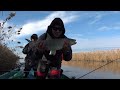 Рыбалка на судака на реке Кигач! #shorts