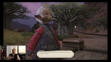 FFXIV "An Exemplary Example" through "Big Sollerets to Fill" Paladin Quests Lv 50, 52, 54