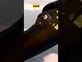 The aircraft is so fast it's melted itself #aircraft#usarmy#sr71blackbird#f35#usairforce#military#yt
